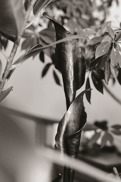 Geschmiedete Blume "Calla"