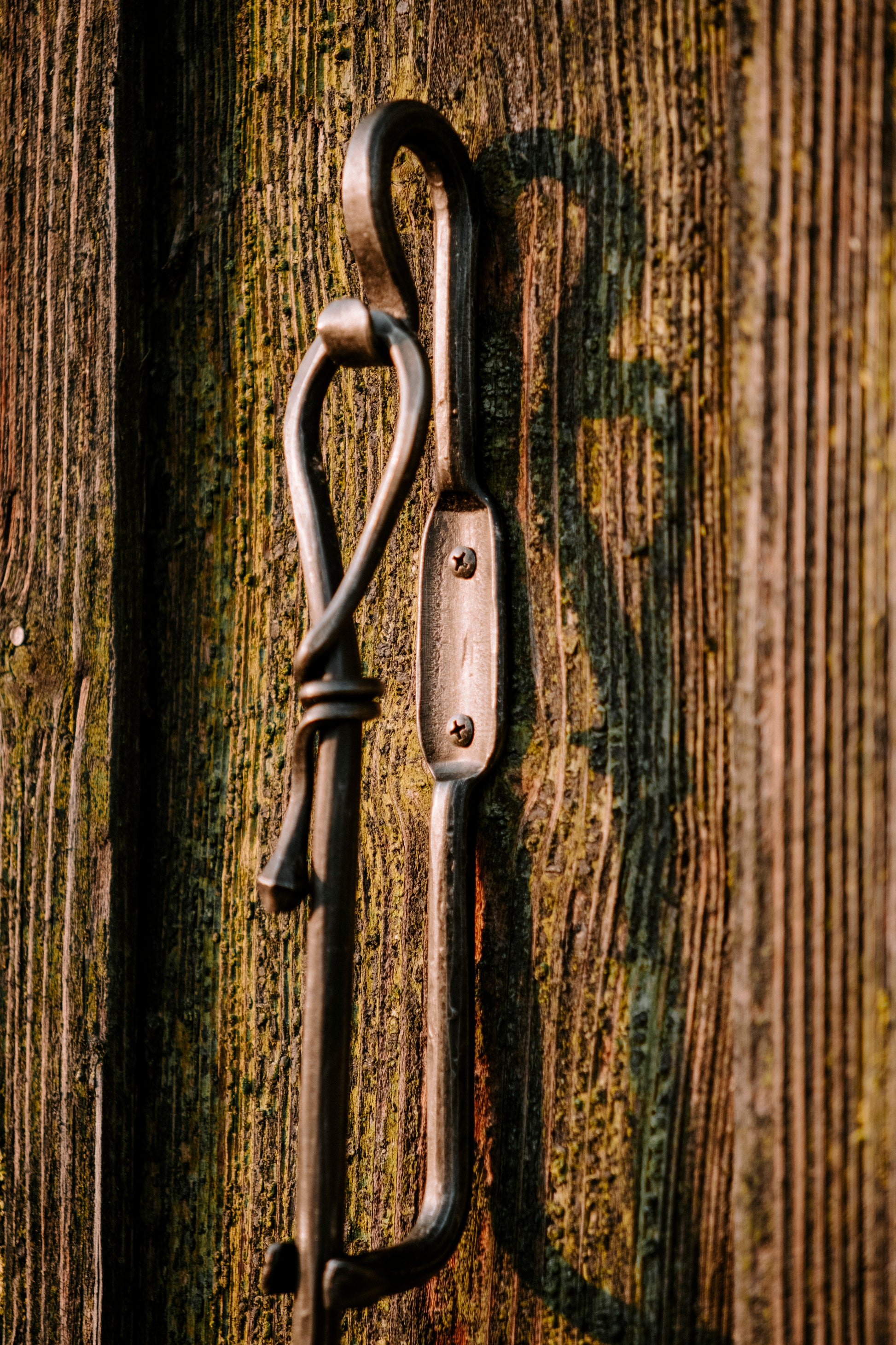 Der Schuhlöffel mit Griff