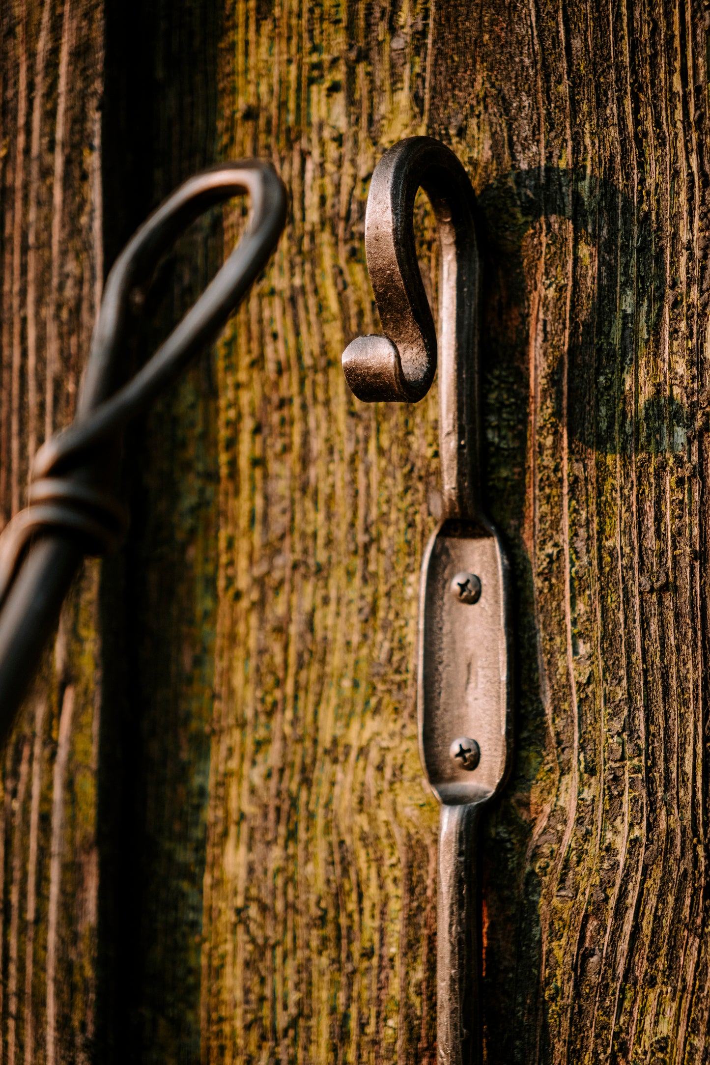 Der Schuhlöffel mit Griff