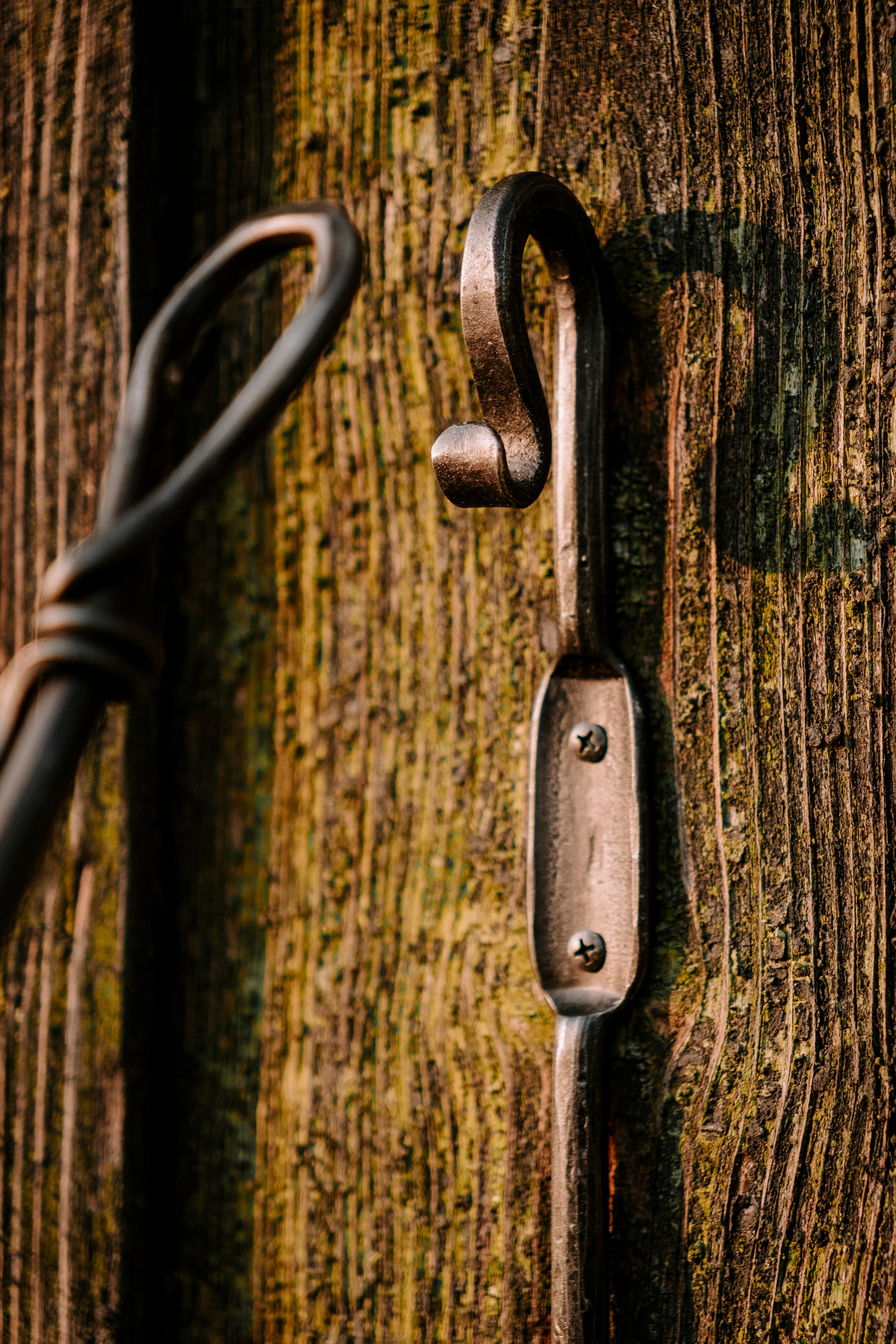 Der Schuhlöffel mit Griff