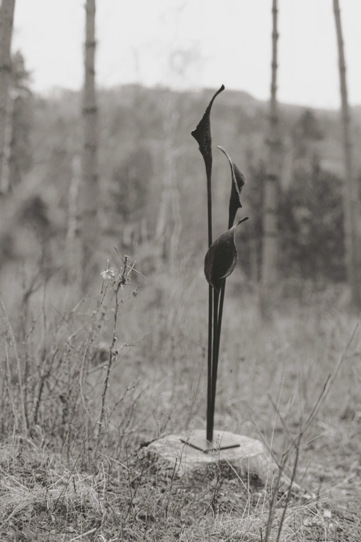 Geschmiedete Blume "Calla"